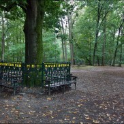 38-52-20luntersebuurtbos