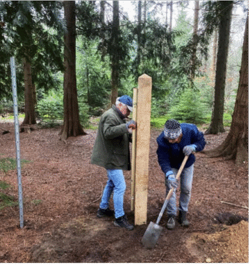 Boswerkgroep volop aan het werk