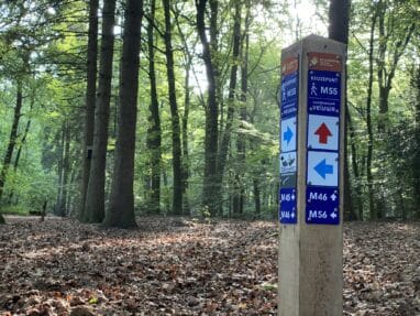 Wandelnetwerk Goudsberg in ontwikkeling: wat betekent dit voor het Luntersche Buurtbosch?